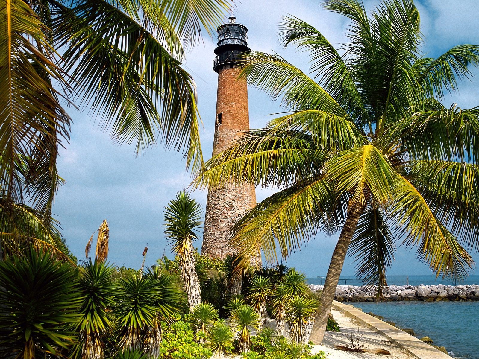 floride phare palmiers