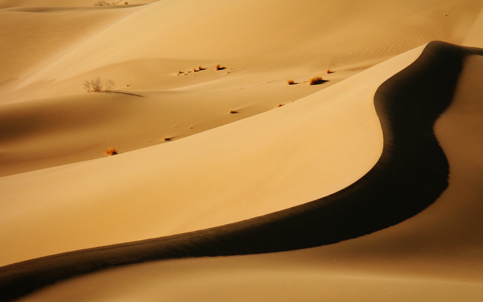 barchan ombra deserto