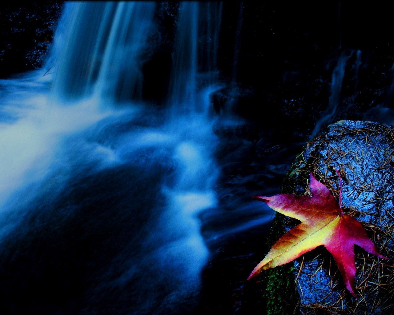 feuille cascade automne