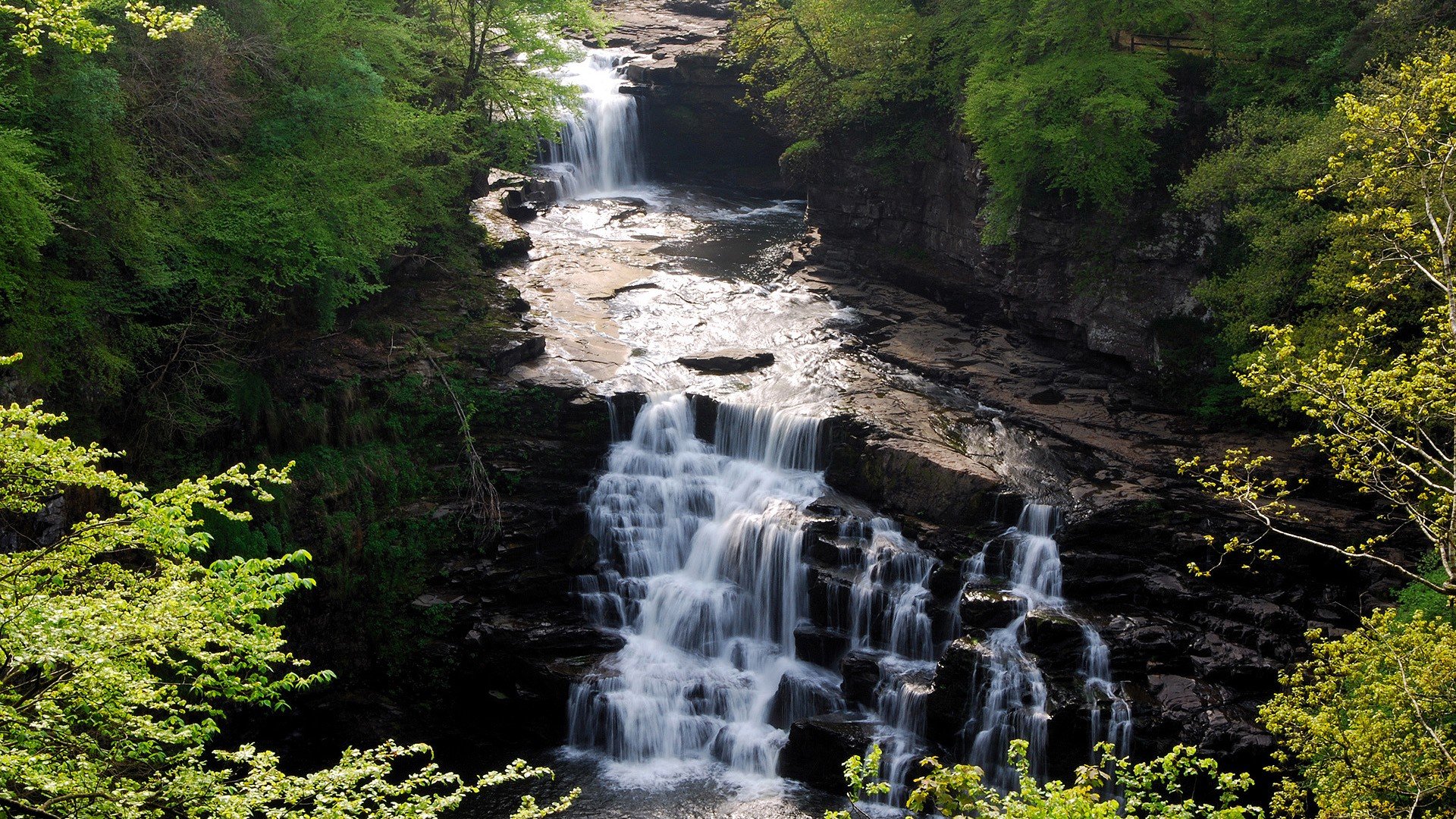 cascata foresta rocce