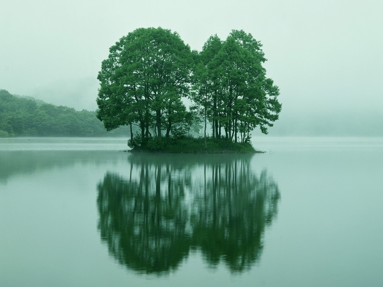 bäume insel reflexion