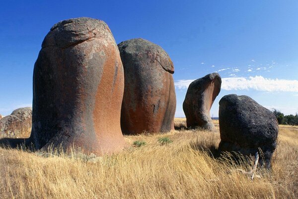 Stones of bizarre shape in the grass