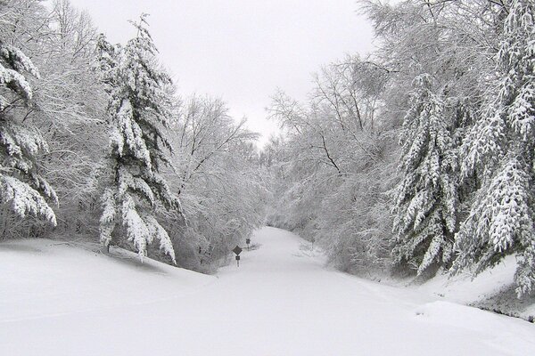 Winterpfad im Nirgendwo