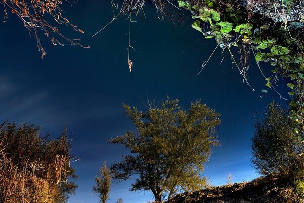 The reflection of nature in the mirror surface of the water