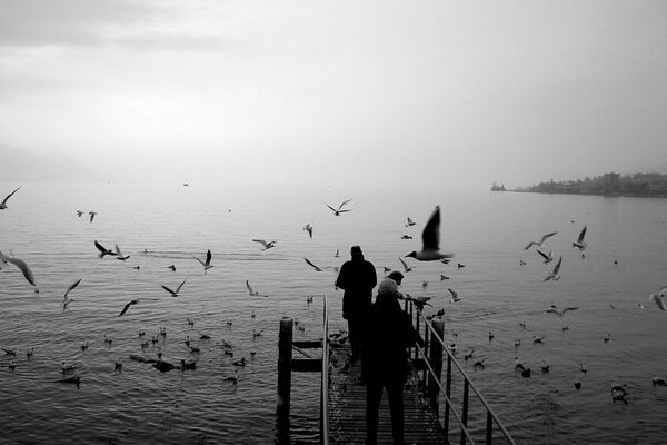 Nourrir les mouettes sur le quai, photo noir et blanc