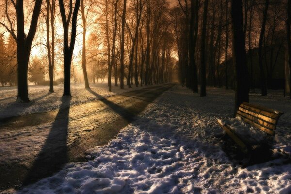 Panchina nel parco invernale vicino alla strada