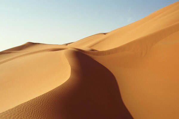 La foto del desierto causa impotencia