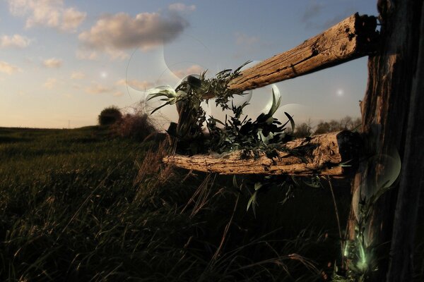 Fence made of old boards against the sky