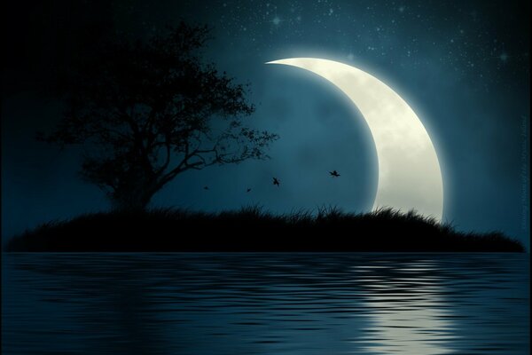 Лунная дорожка на воде ночью