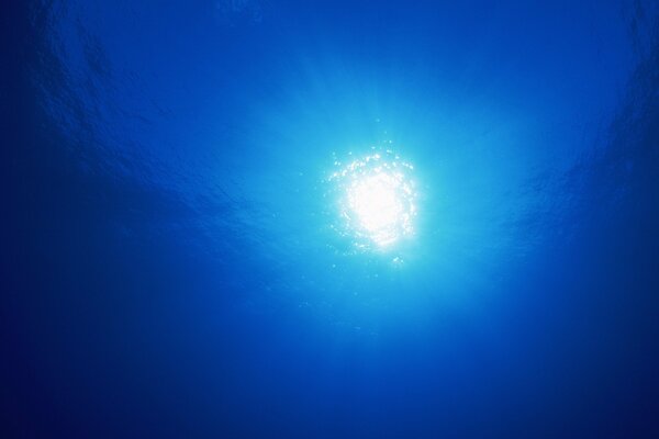 Фотография из глубины синего моря на яркий солнечный свет