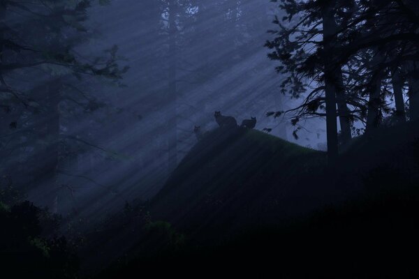 Lobos de noche en el bosque a la luz de la Luna a través de las copas de los árboles