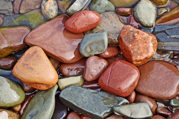 Piedras de mar en la playa