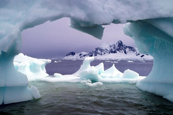 An ice floe cave in the icy sea