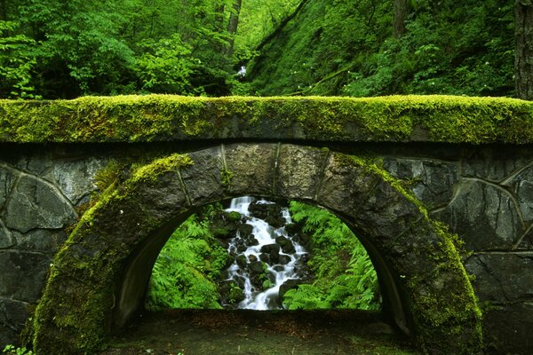 Puente verde sobre el arroyo rápido