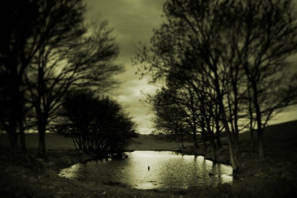 Sepia of sad autumn on the background of puddles and trees