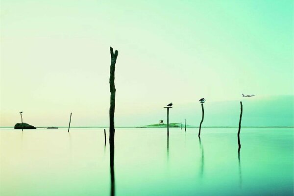 Water pillars Sky Reflection turquoise Green