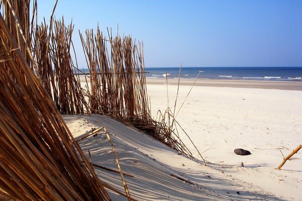 Plage de sable et d eau