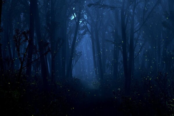 Lucioles dans la forêt de nuit