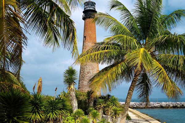 Seashore, palm trees, lighthouse