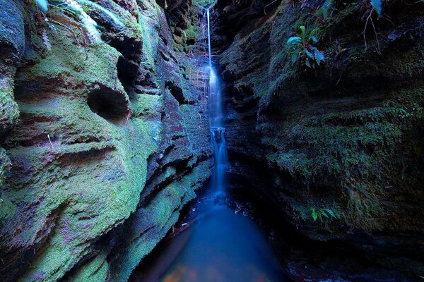 Schlucht im Moos mit Wasserfall