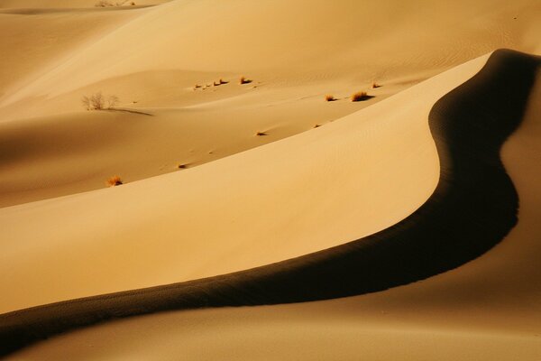 Пустыня в закате. Тени бархана