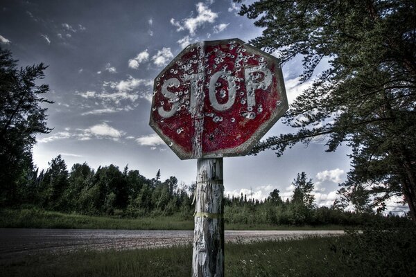 Stopp-Zeichen in Löchern auf einem Baumhintergrund