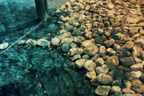 Stones on city slabs and wood