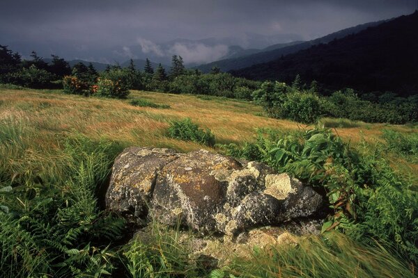 Una gran piedra descansa sobre la hierba en una tormenta eléctrica
