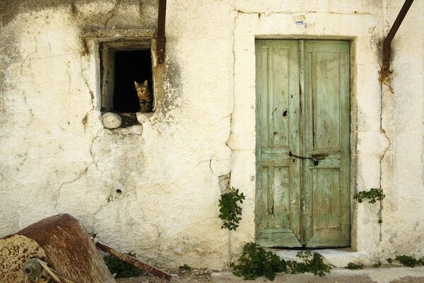 Alte Wand mit Fenster und Katze