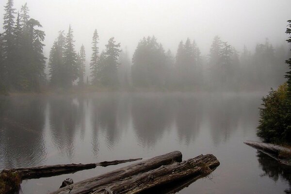 There is fog on the lake and the forest around