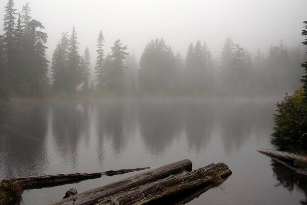 На озере туман и лес вокруг