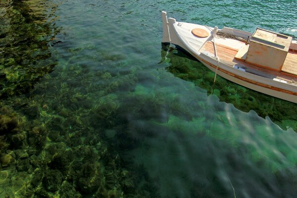 Wooden boat in green water