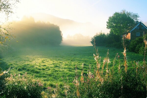 Cabaña en el bosque al amanecer en la niebla