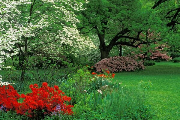 Hermoso parque verde y parterre de flores