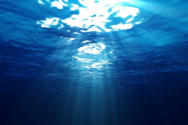 Rayos penetrados a través del agua del océano