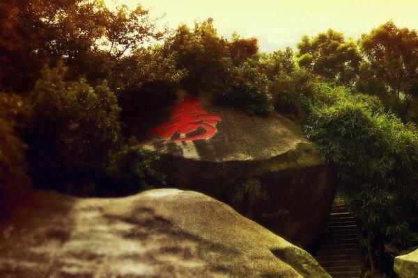 Large boulders with a red symbol among the vegetation