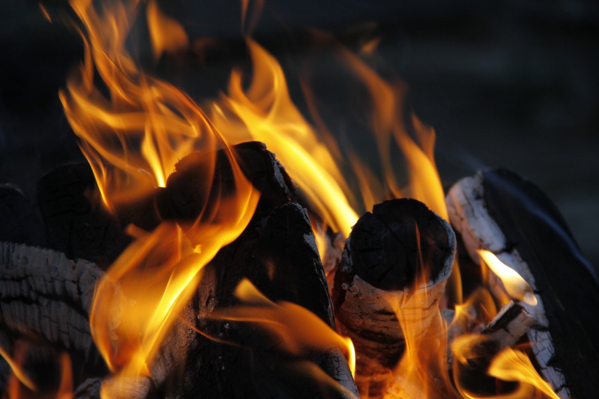 hintergrund tapete makro feuer tanzen lagerfeuer flammen brennholz kohlen