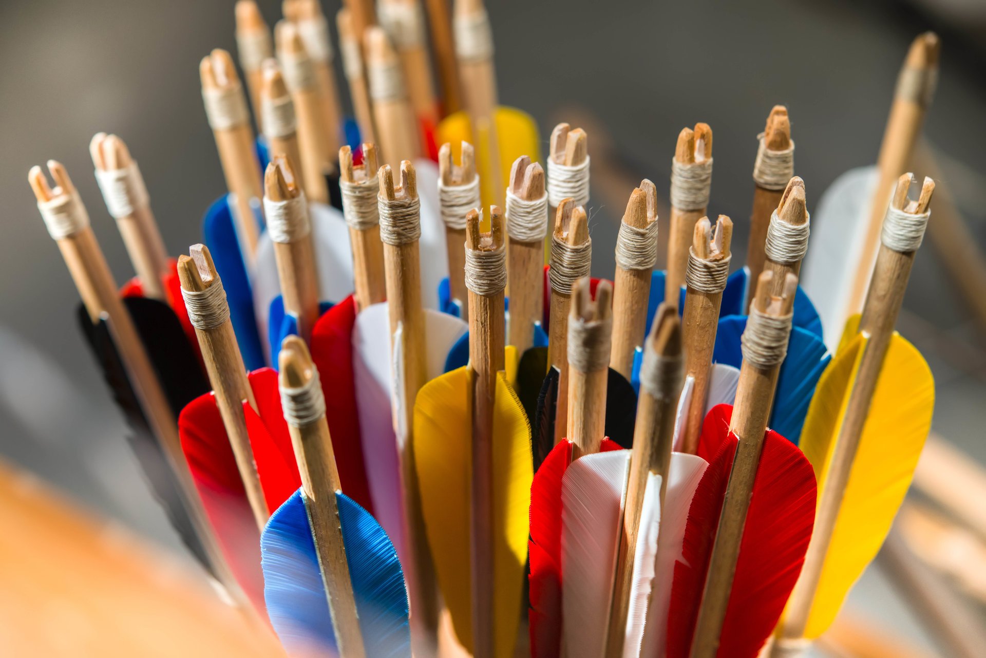 boom multicolored plumage shank quiver arrows bright beautiful blur bokeh close up wallpaper