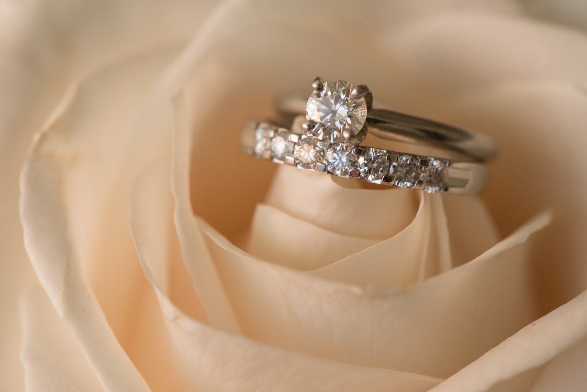 boda anillos rosa flor