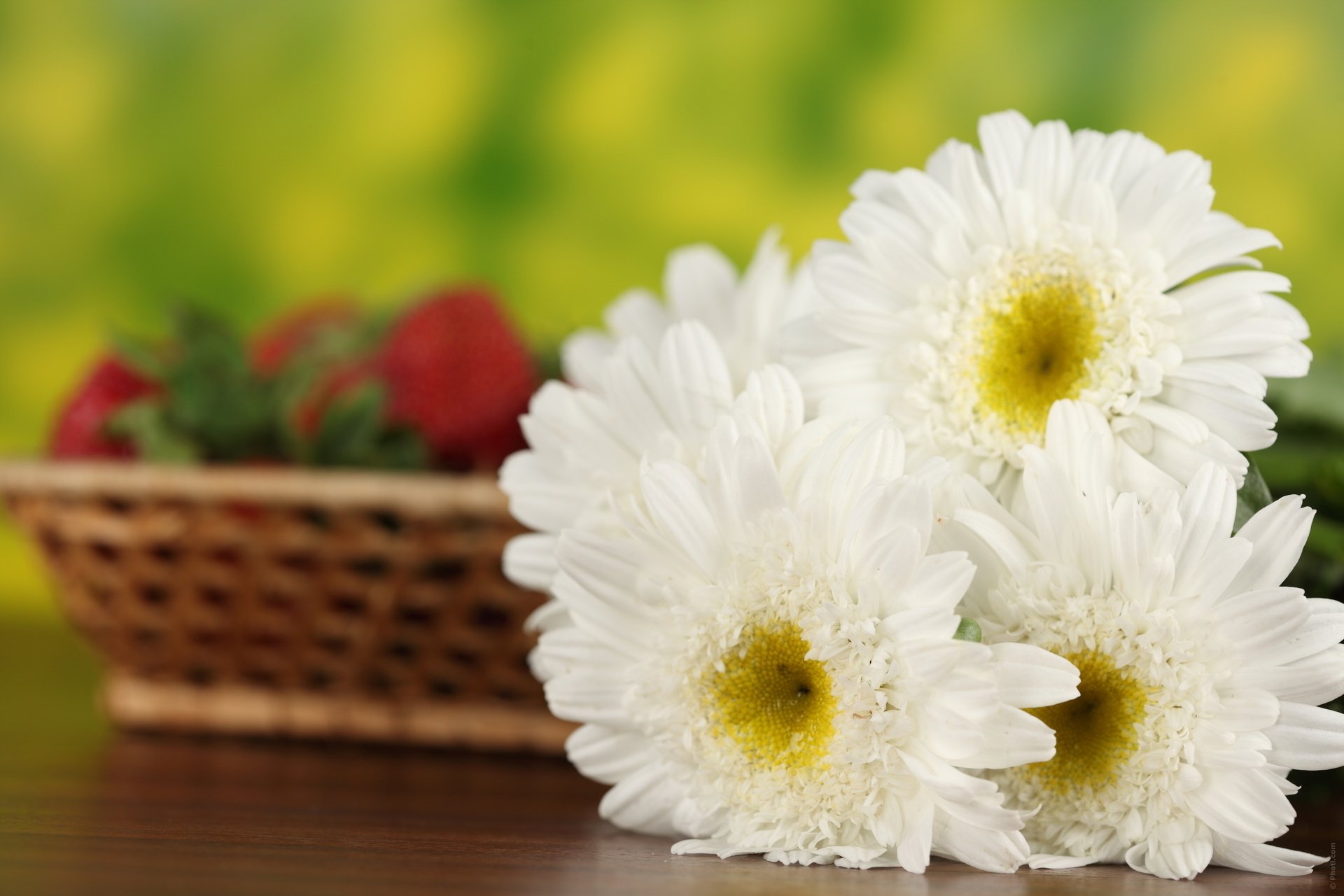 makro korb erdbeere blumen feld kamille