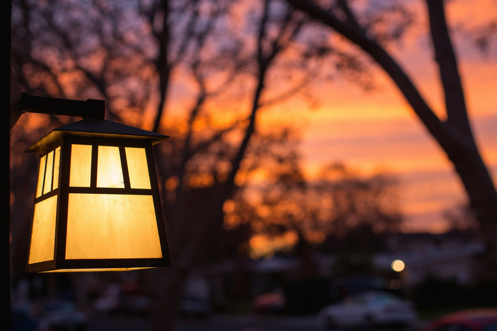 laterne licht gelb makro bäume abend sonnenuntergang unschärfe