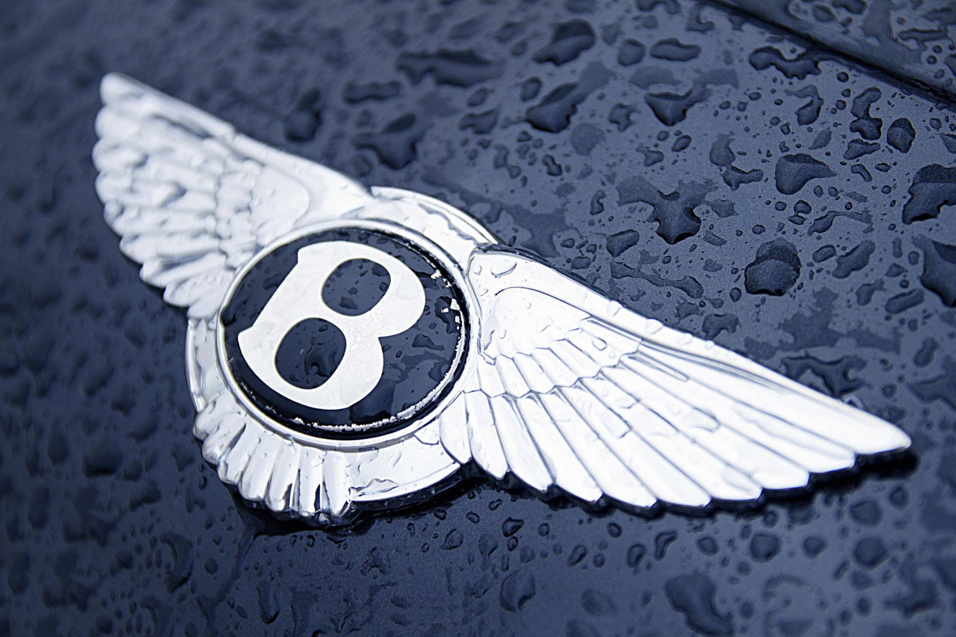 logo badge capot gouttes eau bentley