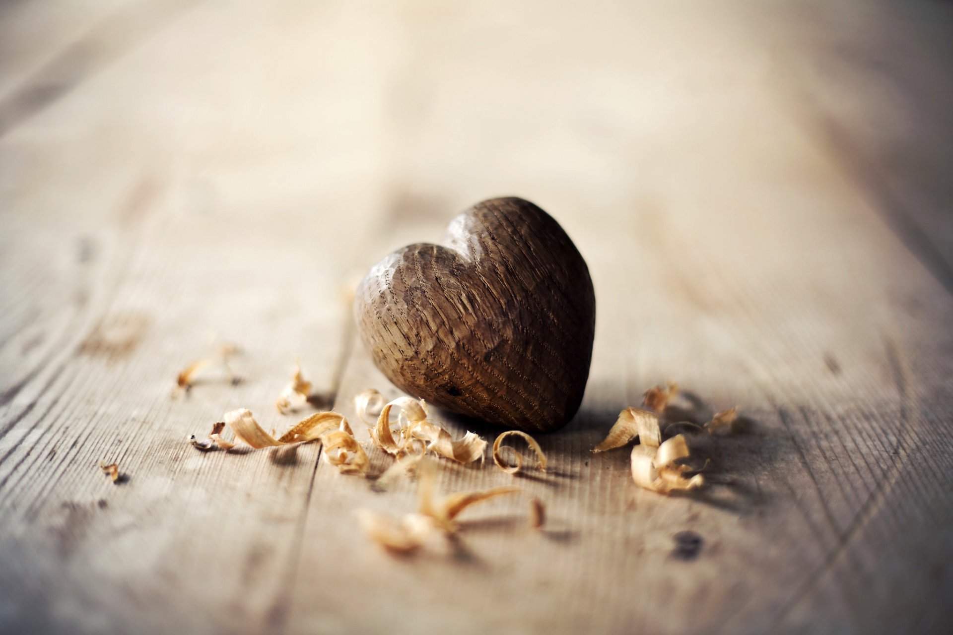 heart heart wooden shavings sawdust