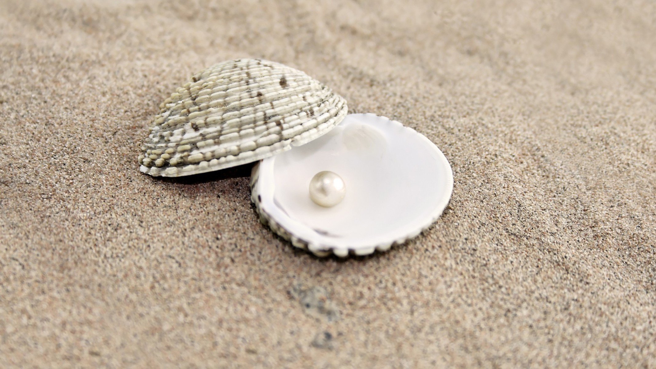 sable perle coquillage