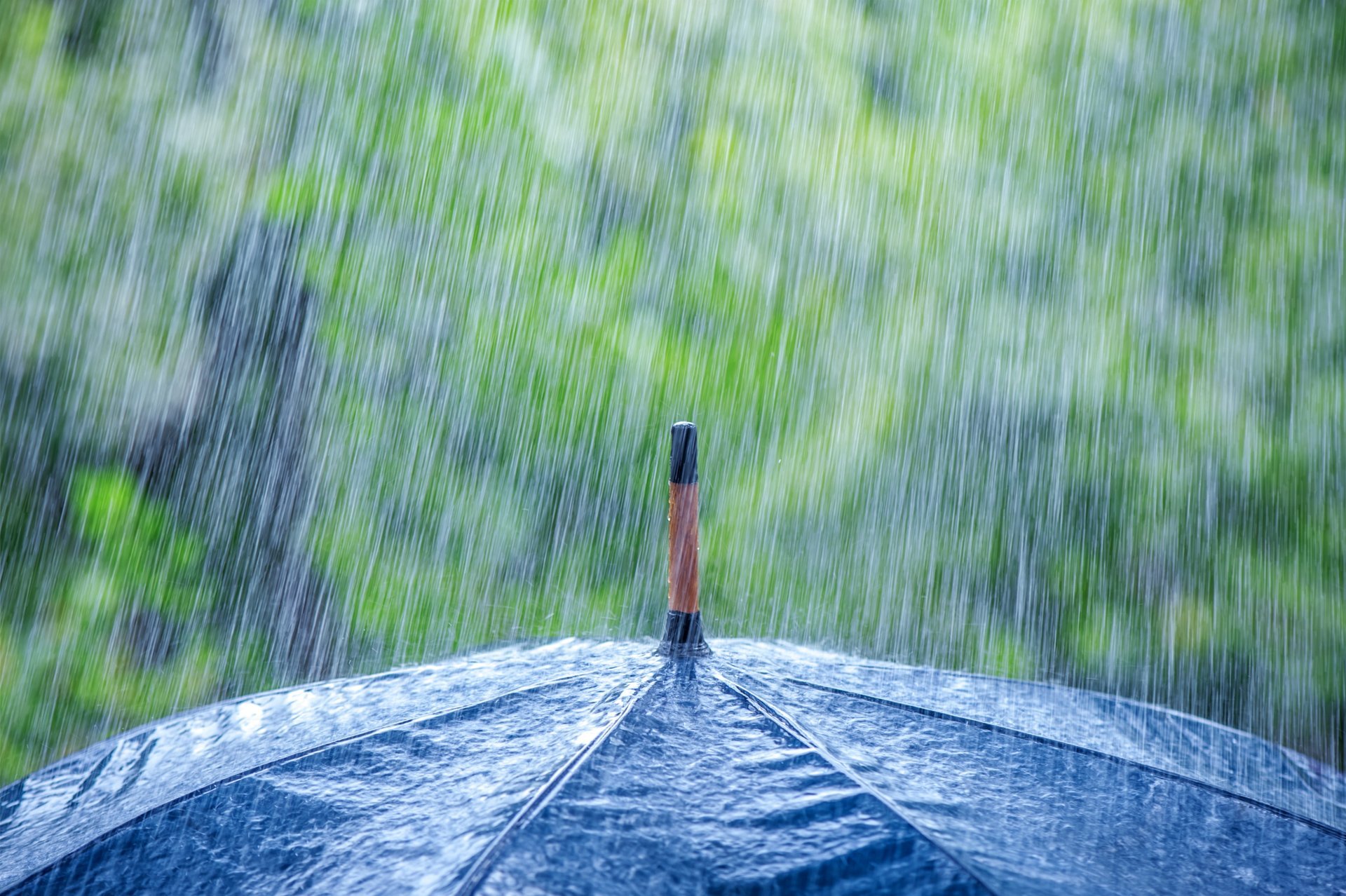 makro regen regen regenschirm