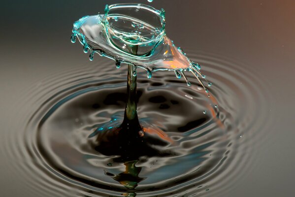 Spruzzi d acqua colorati che formano un cerchio