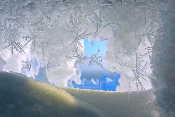 Photos of winter snowflakes under magnification