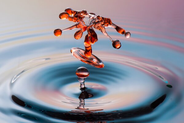 Ein Tropfen Wasser bei Sonnenuntergang ist schön Makro