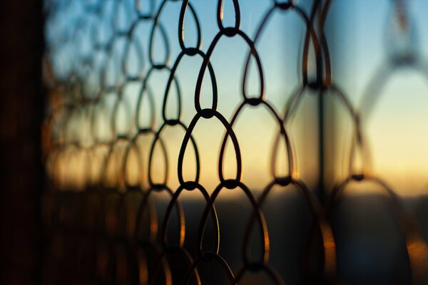 Макро фото решетки на фоне заката
