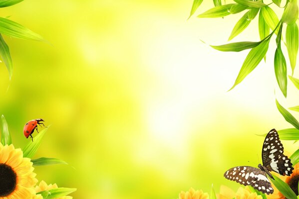 Feuilles de fleurs de tournesol et de papillons